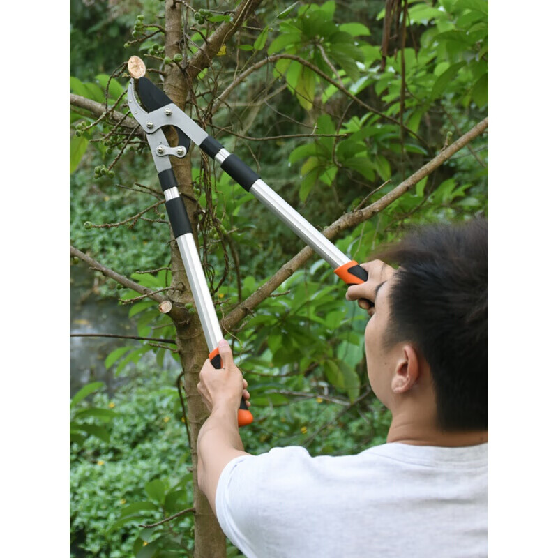京选推荐剪枝剪刀果树修枝树枝剪园林修剪神器强力修大力粗枝大枝省力