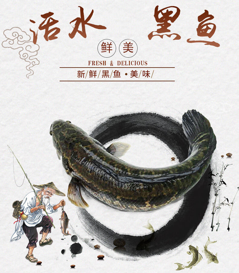 lism新鲜净膛黑鱼乌鱼乌鳢斑鳢斑鱼生鱼术后滋补炖汤酸菜鱼水煮鱼片1