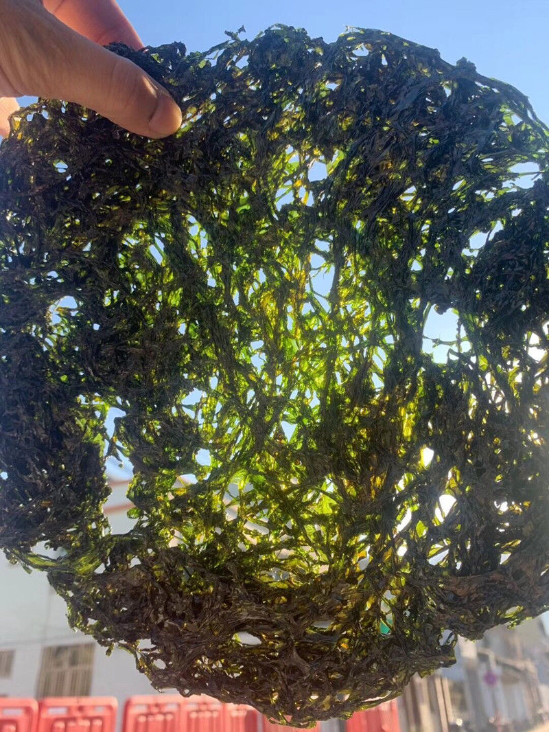4a野生头水紫菜250g500g无沙免洗天然干货新晒南澳特产紫菜无沙紫菜