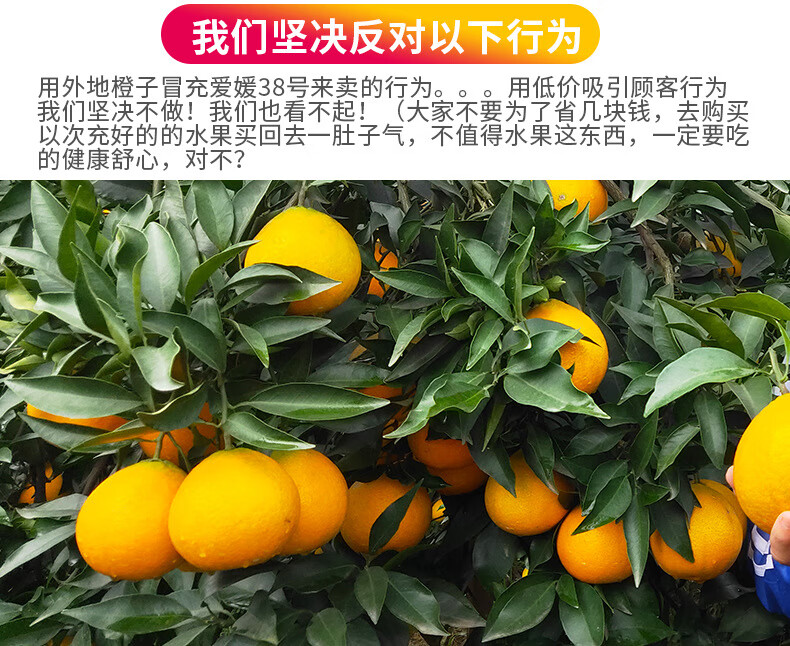 6ff5f2126203202a.jpg