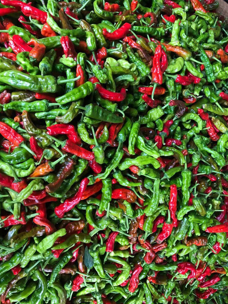 现摘新鲜蔬菜山东枣庄一窝蜂薄皮皱皮超辣特辣螺丝土辣椒3斤5斤 1000g