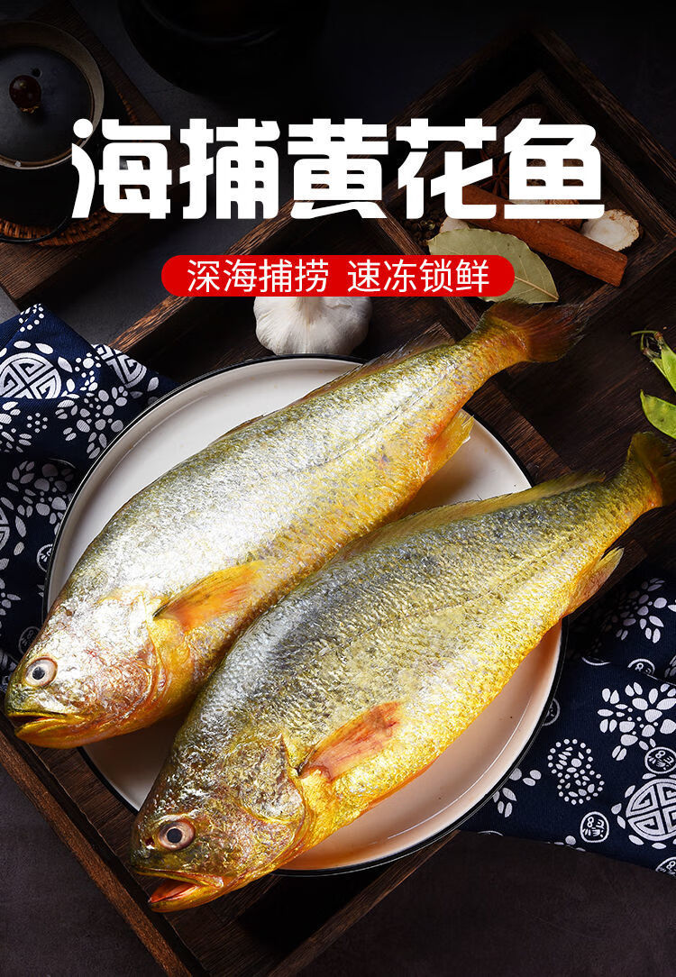 东海新鲜大黄花鱼鲜活黄鱼海鱼冷冻大黄花鱼深海水鱼批发 1.3-1.