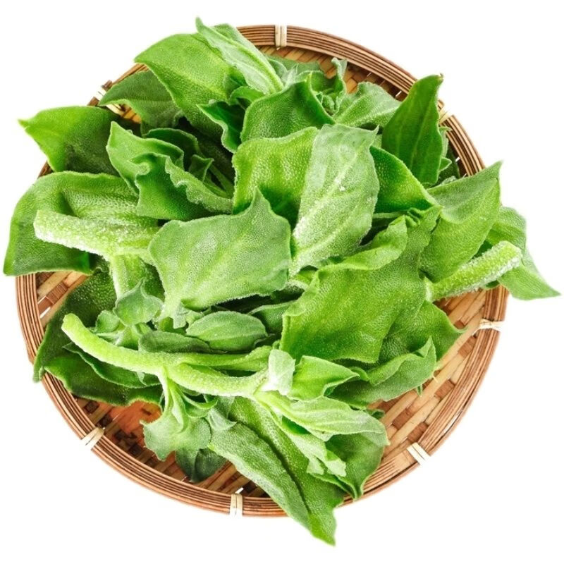 5斤冰菜【图片 价格 品牌 报价】-京东