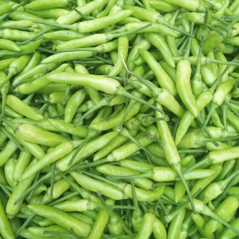 云南新鲜野山椒泡椒农家白米椒特辣小米椒鸡爪泡椒朝天椒特辣新鲜白米