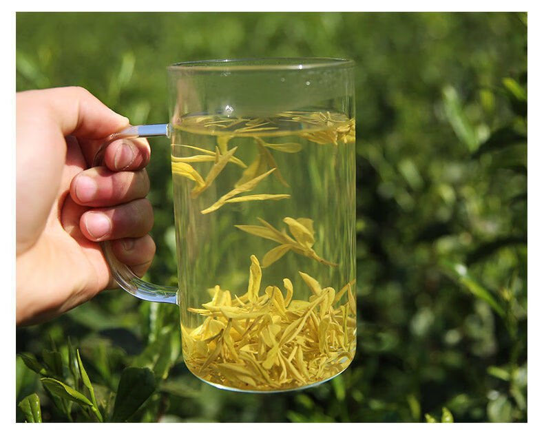 黄金牙茶叶2022年新茶250g明前特级春茶黄金牙白茶茶叶黄金芽125g白茶