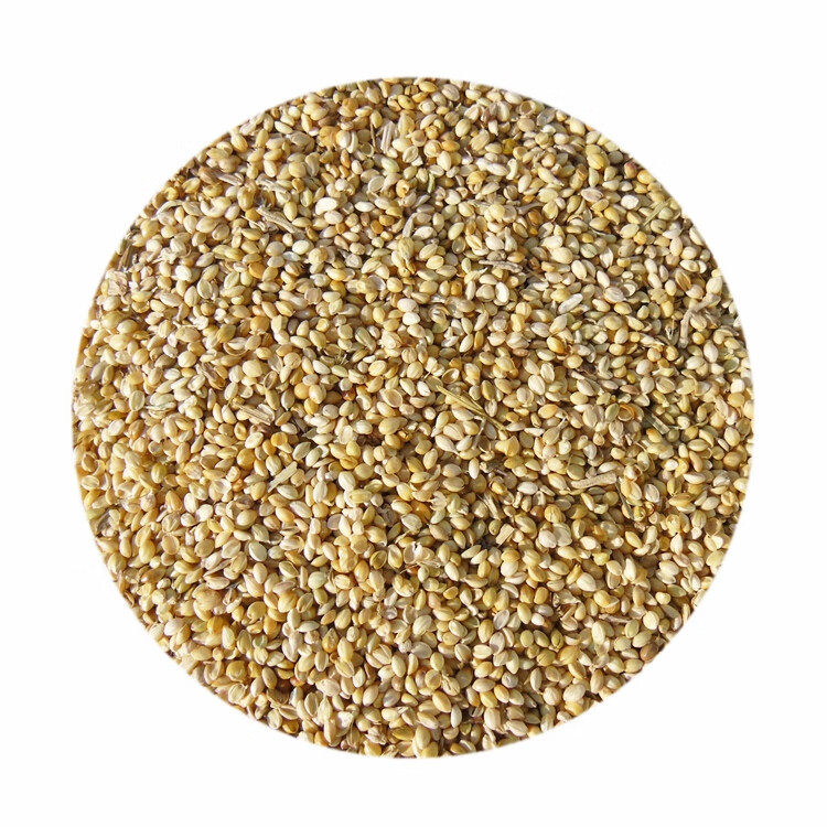 秕谷谷壳黍子荞麦壳秕谷子带枕芯皮谷秕子糠壳瘪谷子枕头 定制 高粱壳