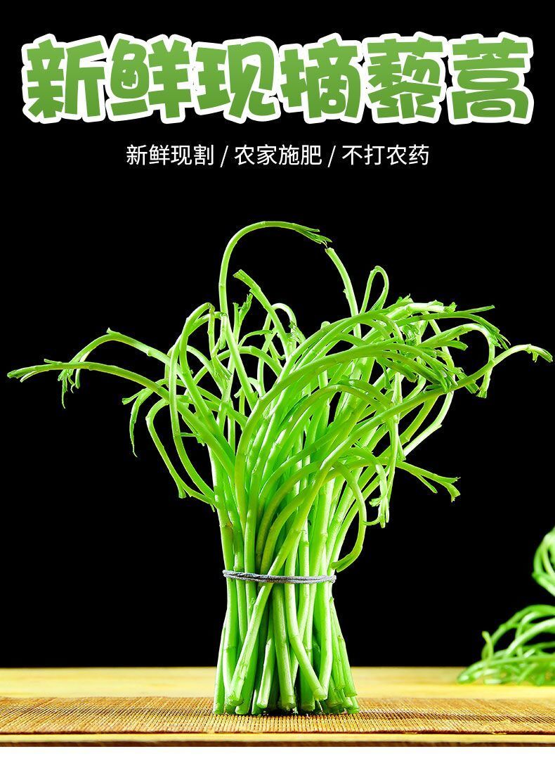 晨臻当季芦蒿新鲜篱蒿芦蒿去根去叶黎蒿新鲜蔬菜野菜藜蒿鲜嫩泥蒿茼蒿