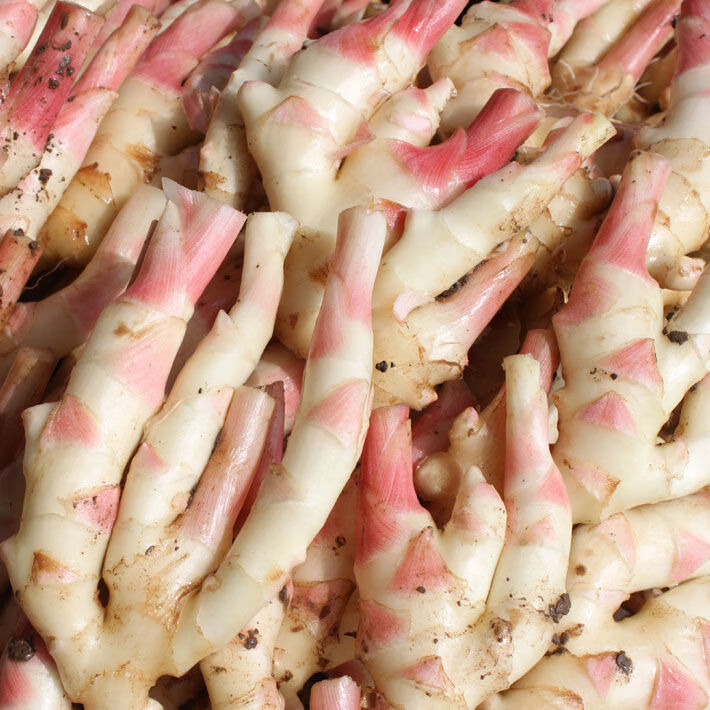 醋泡生姜江西宜春特产姜牙姜片农家冰糖醋姜新鲜自制嫩姜开胃小吃3袋