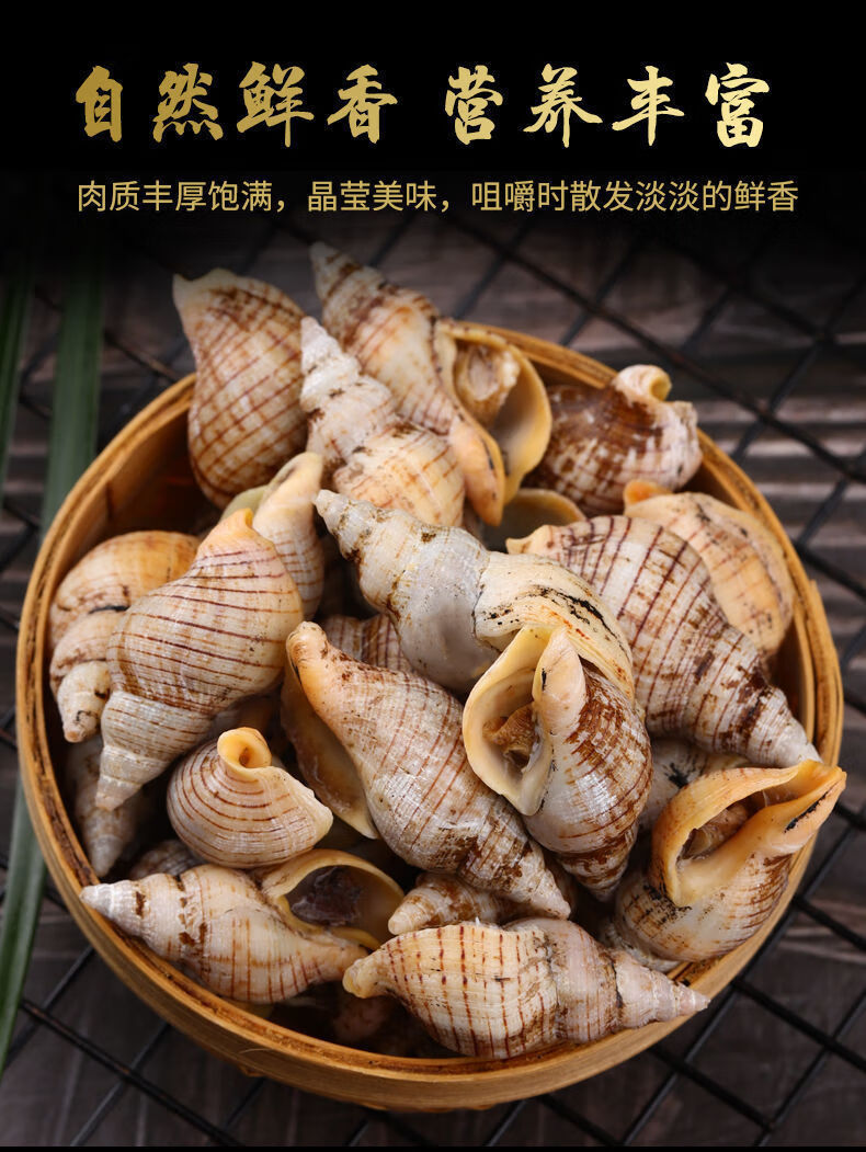 肉质饱满 贝贝螺鲜活海螺贝类海鲜海瓜子小钉螺新鲜螺丝海锥 三斤