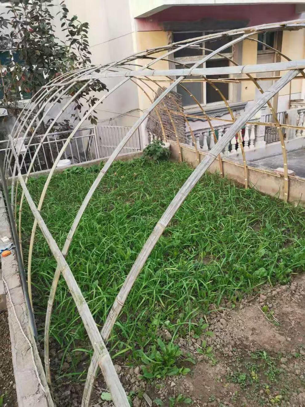 竹片竹条竹片竹条菜棚架子蔬菜大棚菜棚小拱棚竹坯子毛竹片隔断骨架