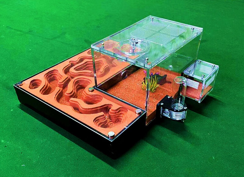 蚂蚁工坊对战蚂蚁城堡cc宠物蚂蚁新型蚂蚁窝蚂蚁生态蚁巢蚂蚁工坊蚂蚁