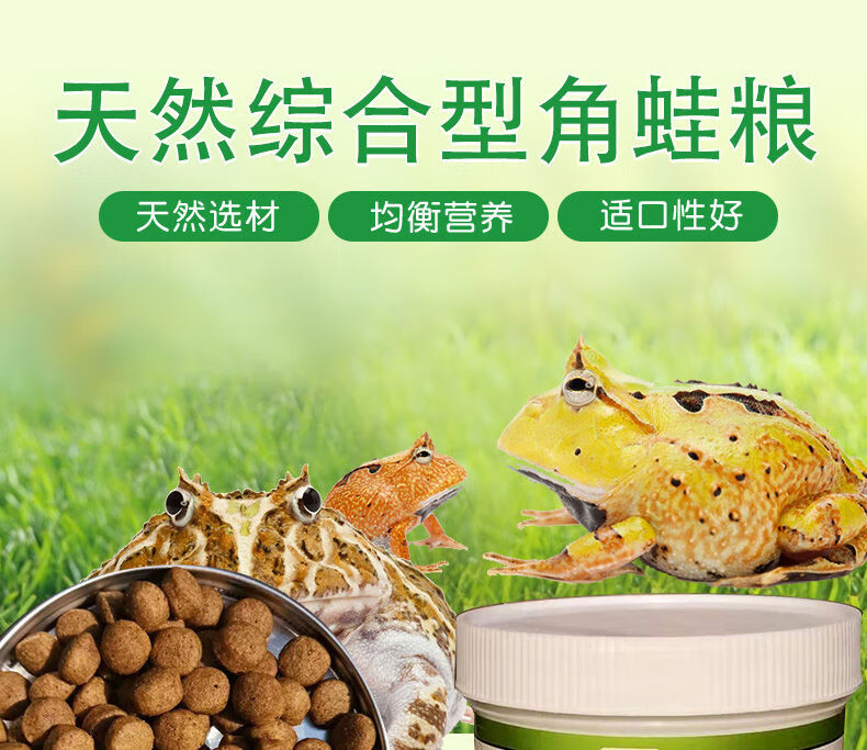 蛙粮小丑薄荷钟角南美蛙粮鱼虾粉颗粒树蛙粮食食物 角蛙粮散装25克