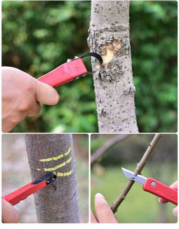 园林农具德国日本进口【京选精品】 专用腐烂病刮皮树皮刮刀多功能