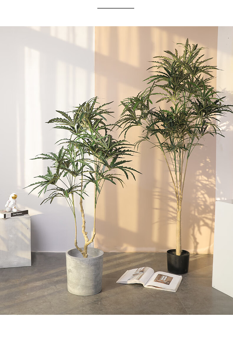 孔雀木仿真树盆栽假树大型绿植物室内装饰客厅电视机墙面落地花艺18米