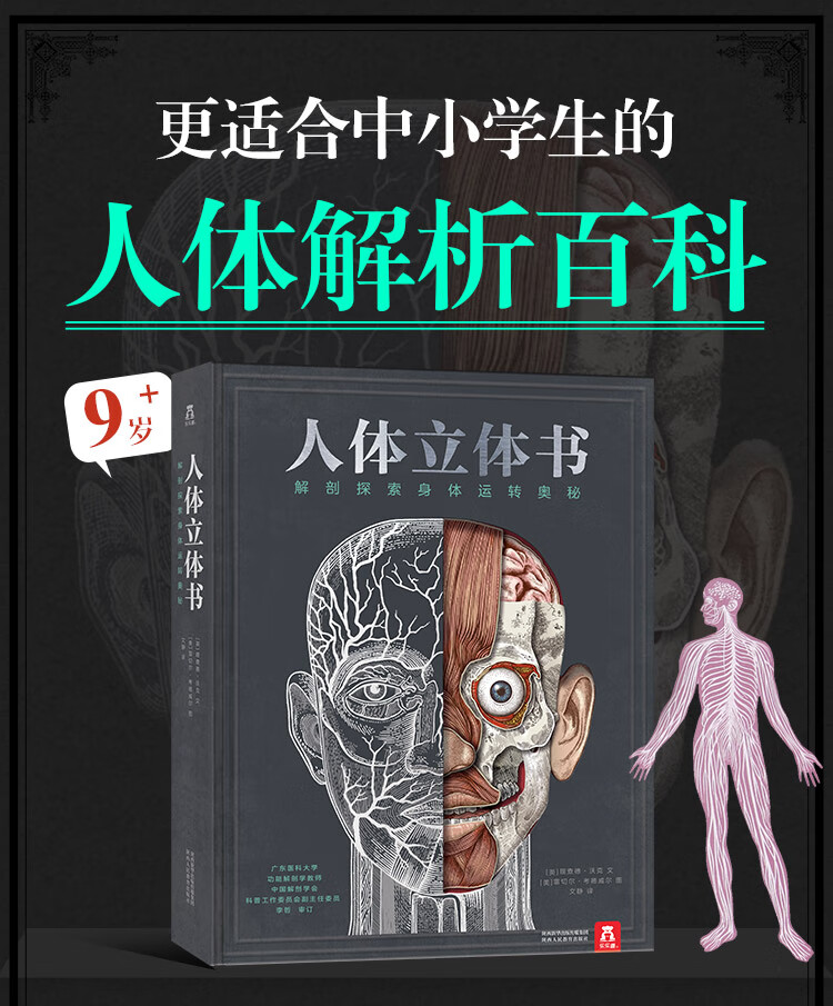 人体立体书解剖探索身体运转奥秘
