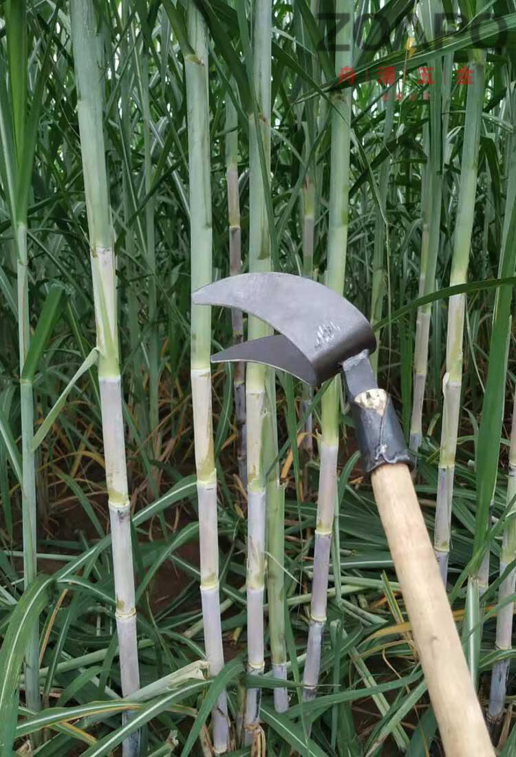 农用剥甘蔗叶刀神器手工撕打甘蔗叶工具扒除甘蔗修叶子刀拨叶2把c款5