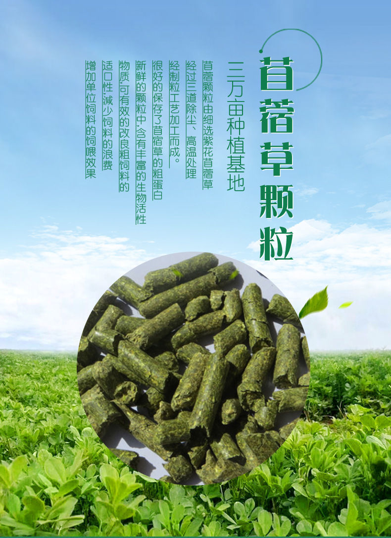 京选推荐天然紫花苜蓿草颗粒幼兔兔粮兔子龙猫仓鼠豚鼠粮宠物除臭饲料