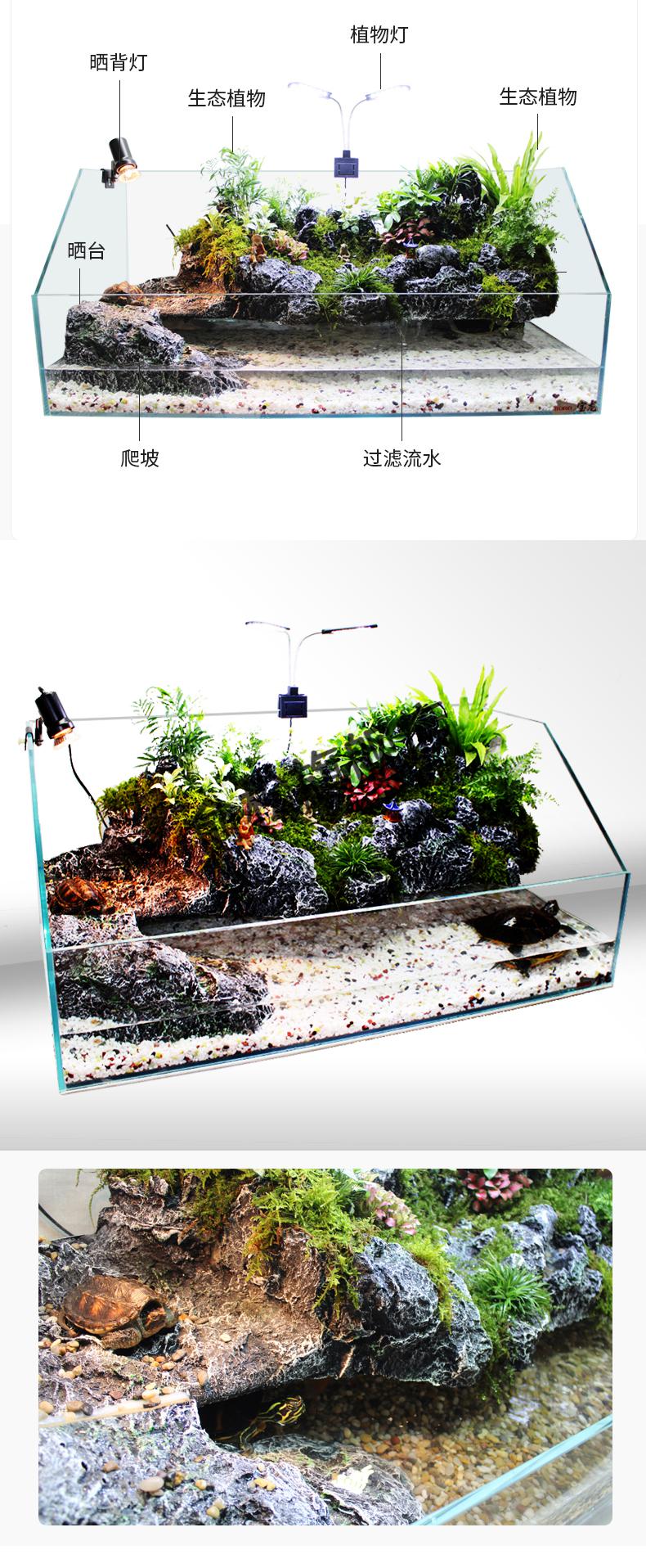 龟鱼混养缸设计图图片