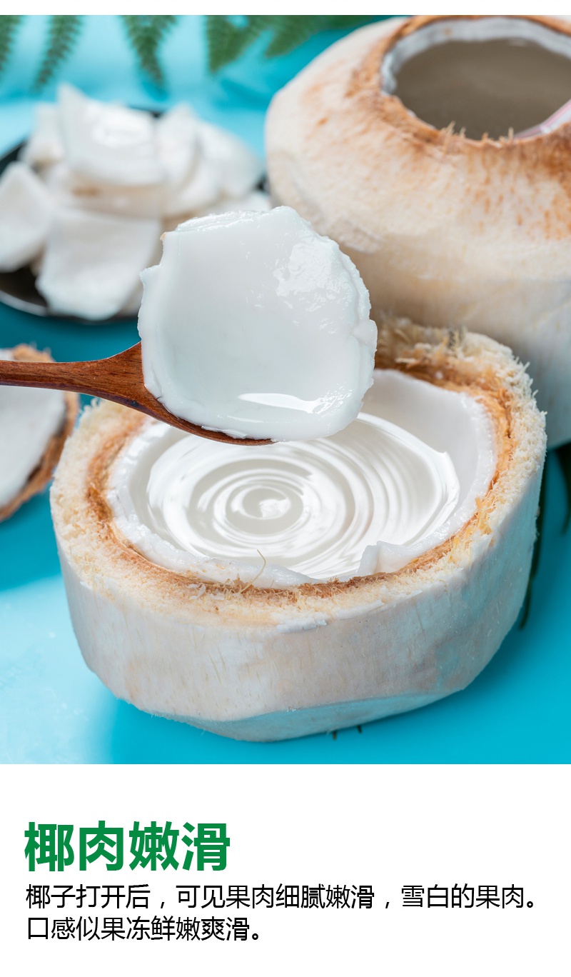 顺丰速发泰国椰青9个原箱进口椰子新鲜水果香水椰青整箱2个试吃单果