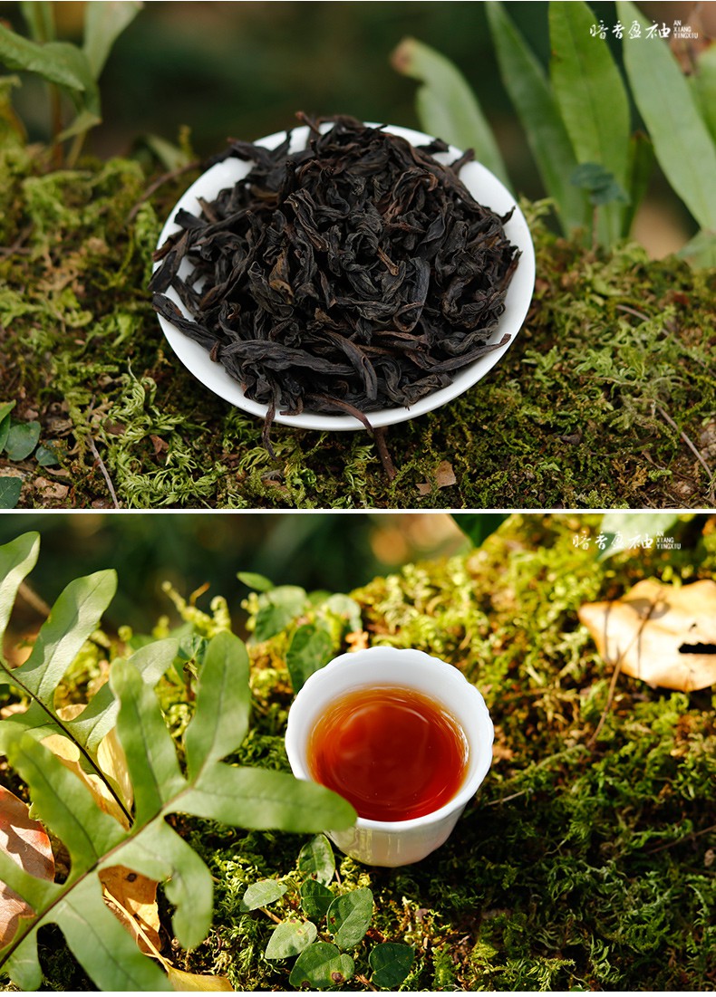 山场 马头岩肉桂茶 武夷山岩茶正岩果香肉桂大红袍礼盒装 150g【图片