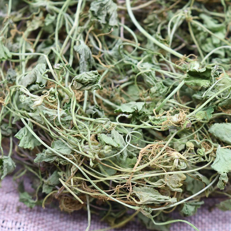 【官方旗舰】伟博雷公根新鲜晒干货崩大碗积雪草破铜钱草药煲汤煮水