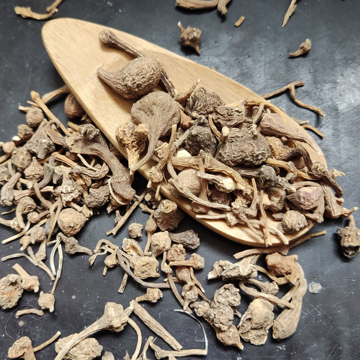 珠儿参 珠子参 扣子七 钮子七 有竹节三七 猪儿参 .珠儿参(50克)