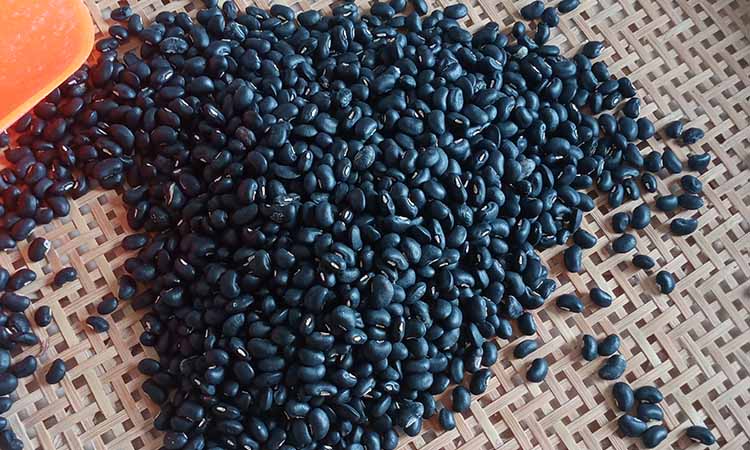 台州农家本地黑豇豆新货白心乌豇豆芸豆黑眉豆乌饭豆豆腰酒黑 500g