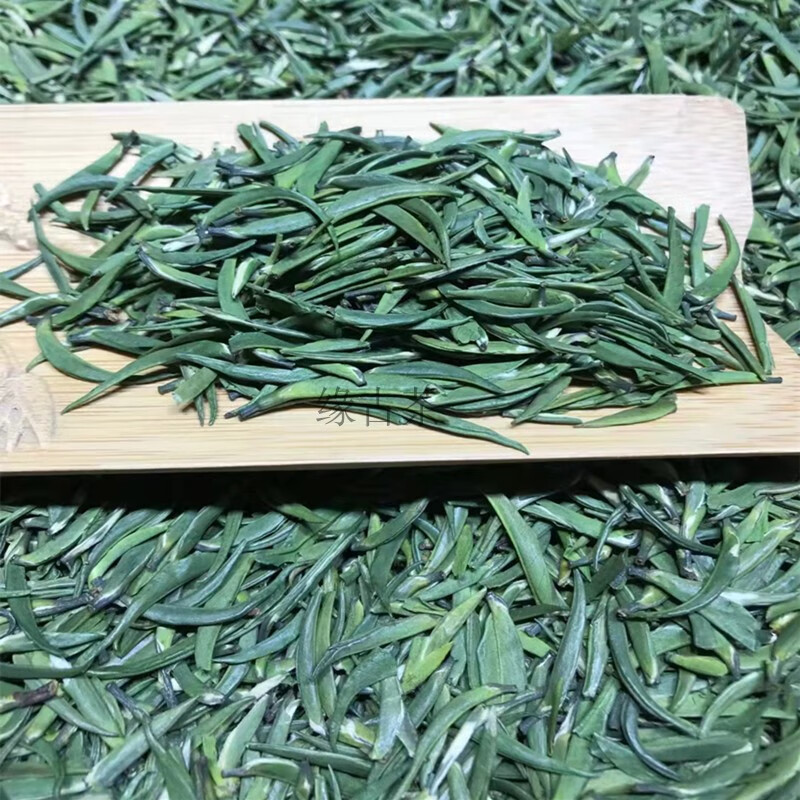 毛尖正宗特级雀舌2022年新茶叶四川峨眉山雅安袋装绿茶青茶明前定制