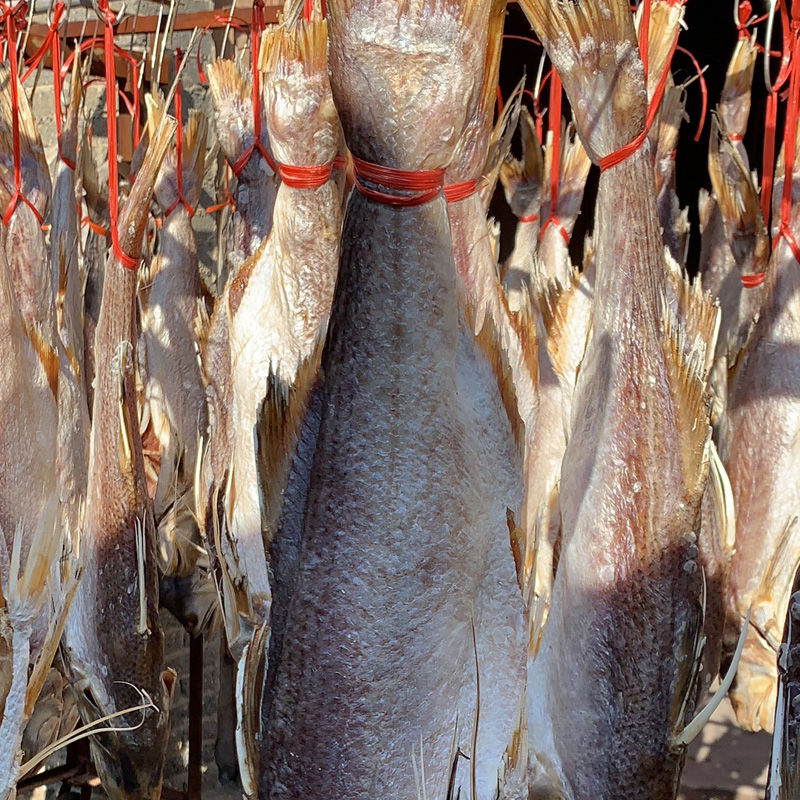 正宗马友鱼深海大鱼干海鱼咸鱼干马友鱼干海鲜干货5001500g马友鱼条