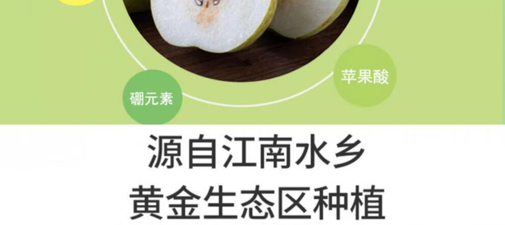 正宗苏州树山翠冠梨子现摘新鲜当季孕妇水果10斤礼盒装顺丰 8斤