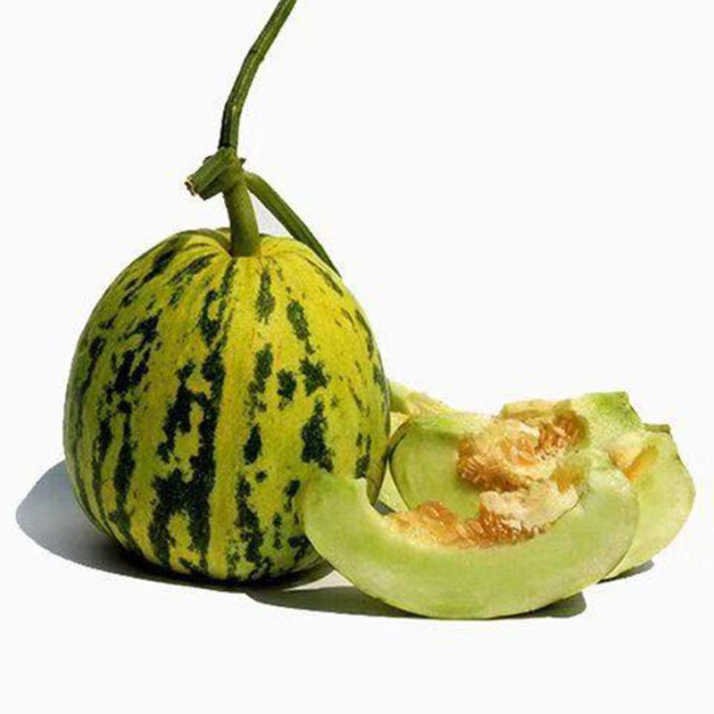 甜瓜品种(甜瓜品种大全)