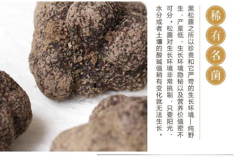 猪拱菌块菌食材内廷上用 500g 【精选全黑】鲜冻全黑松露5-6cm【图片