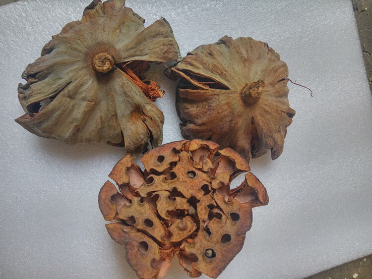 干莲房莲蓬壳莲子壳水芝丹【图片 价格 品牌 报价】-京东