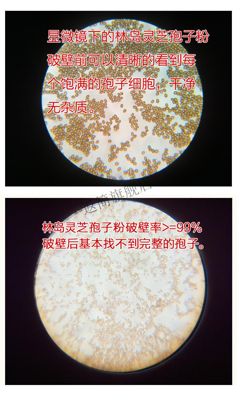 国食健注林岛牌破壁灵芝孢子粉长白山头道粉林芝250克