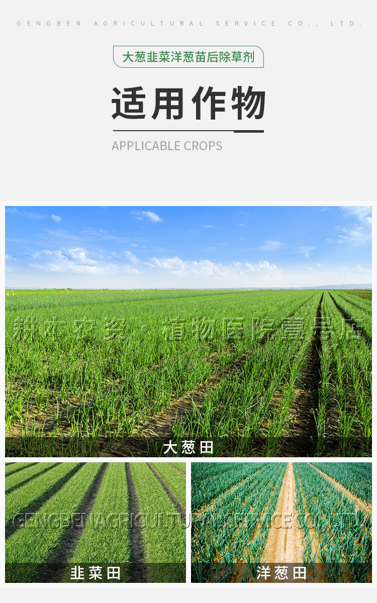 仙葩大葱韭菜洋葱香葱小葱田苗后专用除草剂配方药禾阔杂草双除不伤苗