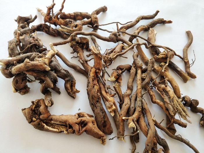 东北托莫根250g小兴安岭托摩根拖莫根脱莫根泡茶喝天然纯正【图片