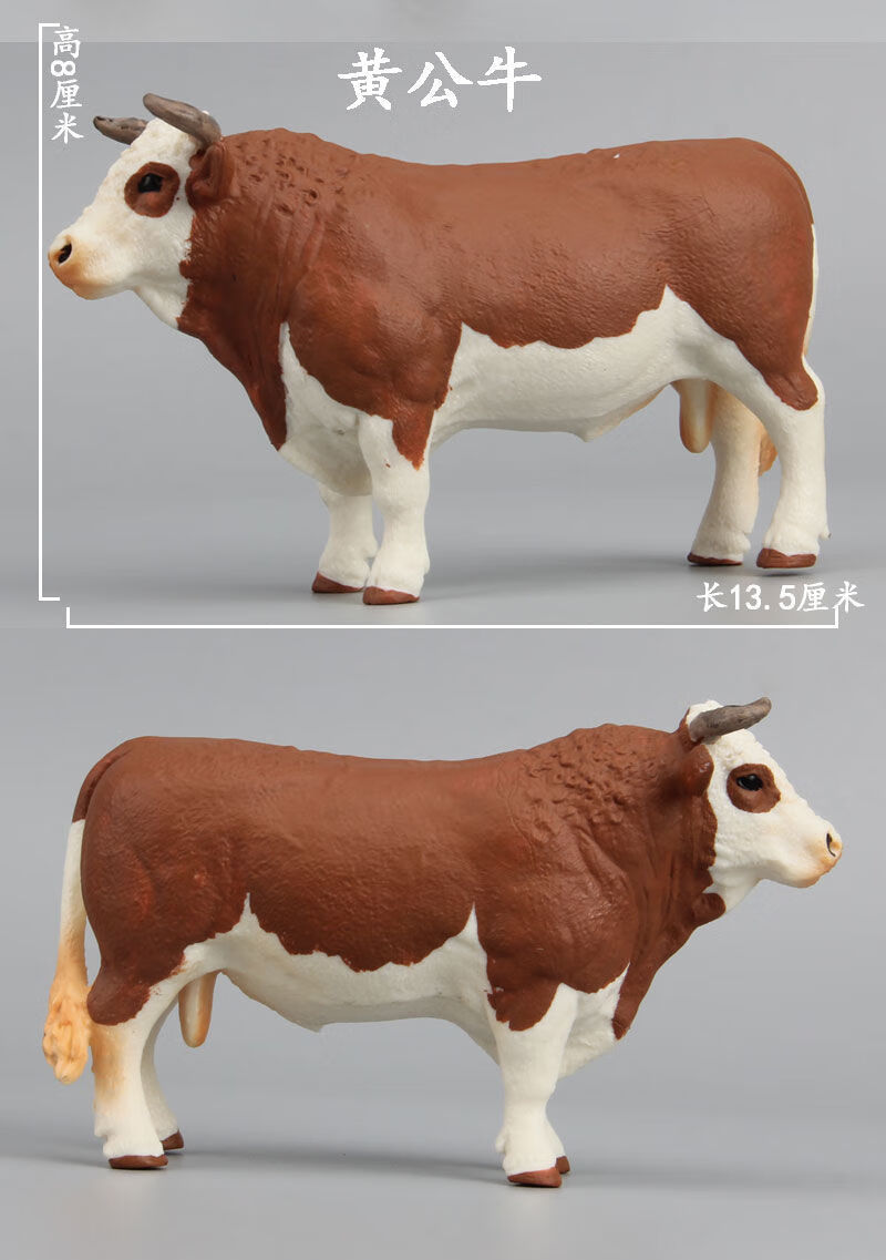 仿真动物模型摆件小牛牛崽奶牛小黄牛科教儿童动物玩具德克萨斯长角