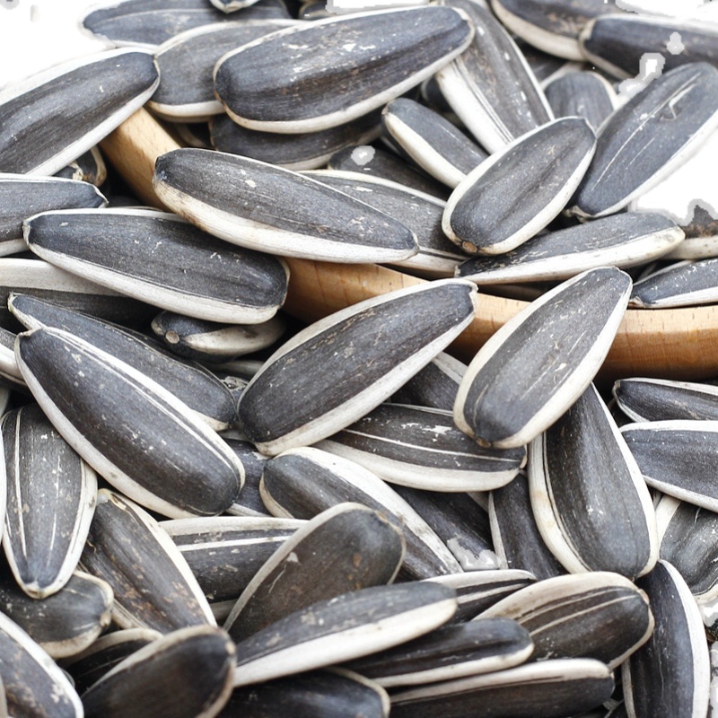 363原味熟瓜子内蒙古原味大瓜子葵花籽大颗粒生熟瓜子炒瓜子炒熟原味