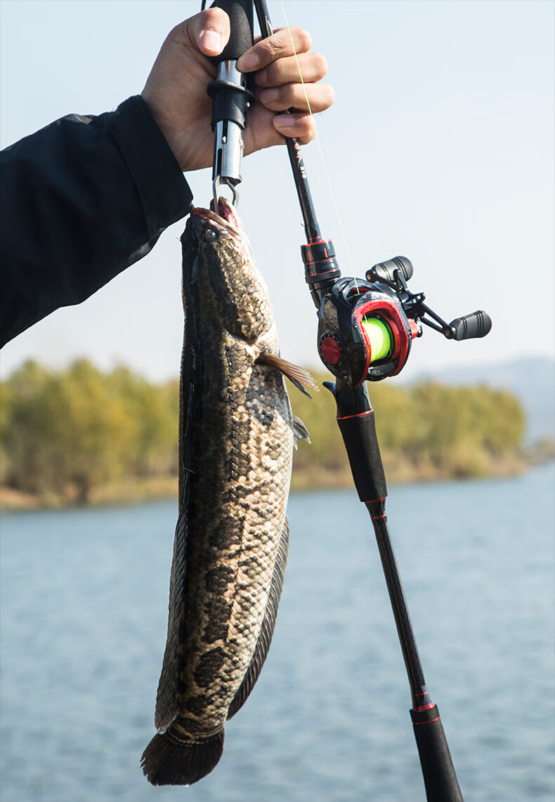 新款路亚竿新手碳素路亚竿抛竿水滴轮全套装备整套海竿钓鱼竿168米