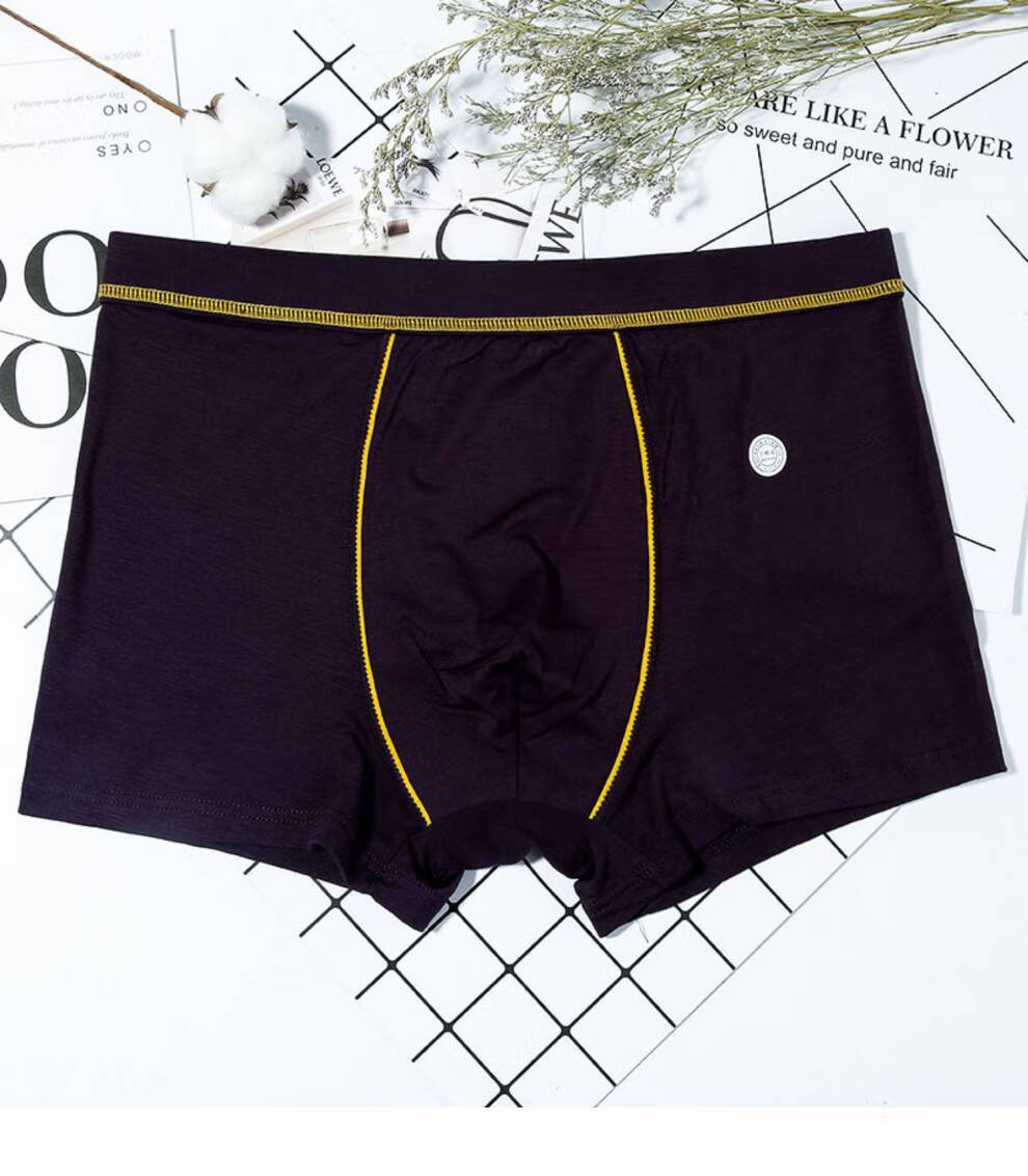 浪莎男士内裤内平角莫代尔舒适四角透气平脚高中生简约青少年短裤头