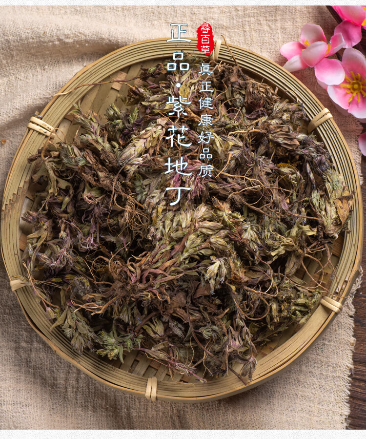 同仁堂中草药紫花地丁 地丁苦地丁草紫花地丁250克【图片 价格 品牌