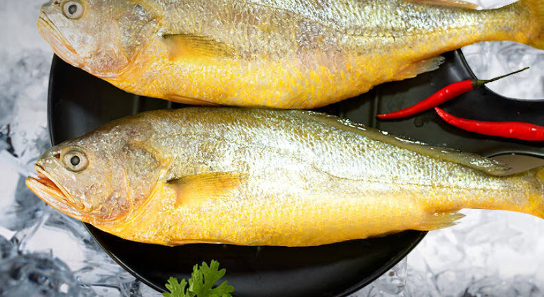 黄花鱼冷冻鲜活黄鱼深海大海鱼黄鱼郎纳新威5斤装2条套装