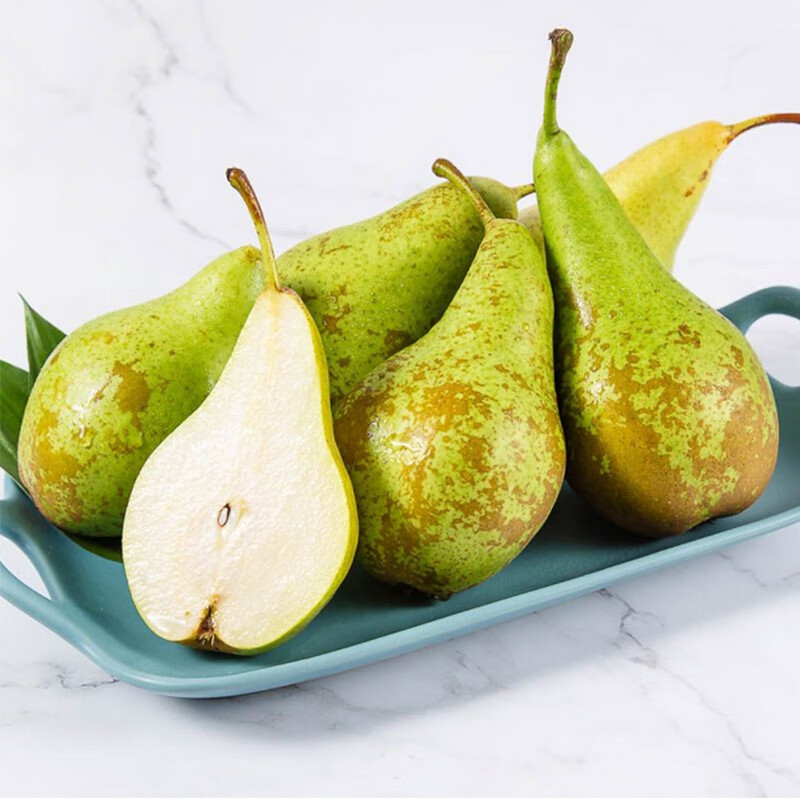 啤酒梨新鲜大果礼盒装28斤原箱青啤梨宝宝辅食当季梨精选大果散装2斤
