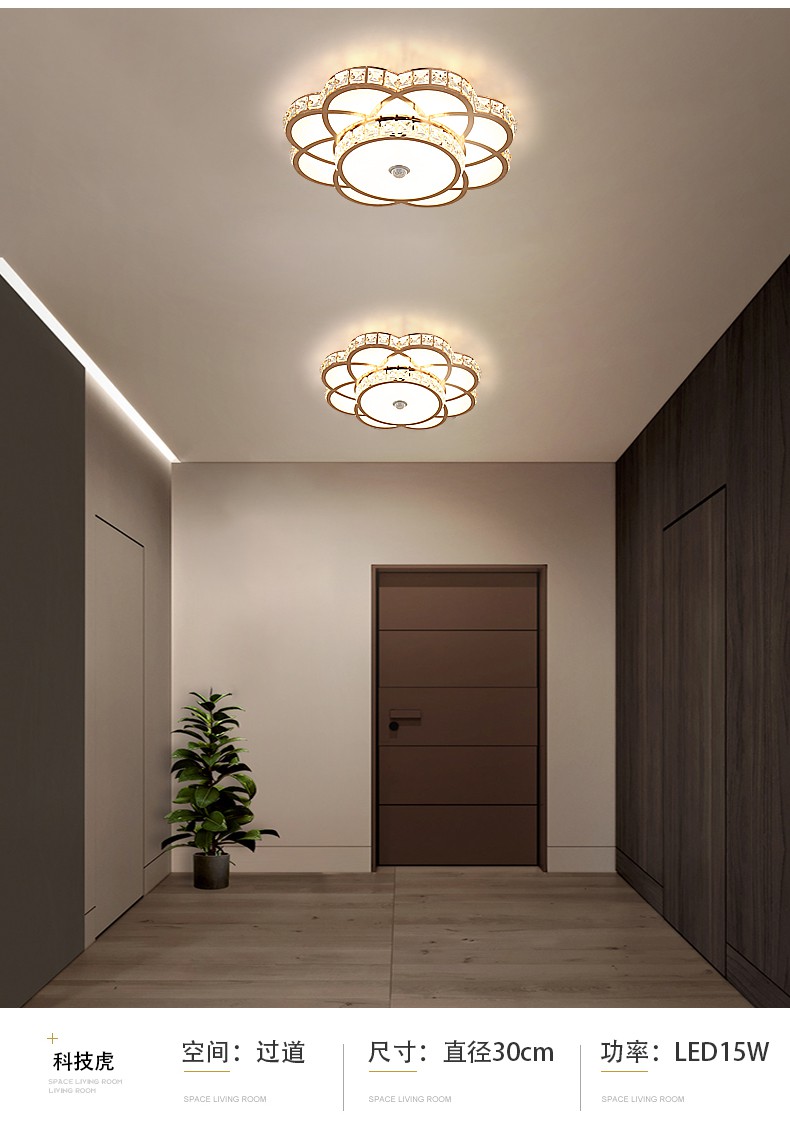 人体感应灯家用过道灯红外门厅智能灯楼道楼梯入户走廊led吸顶灯可调