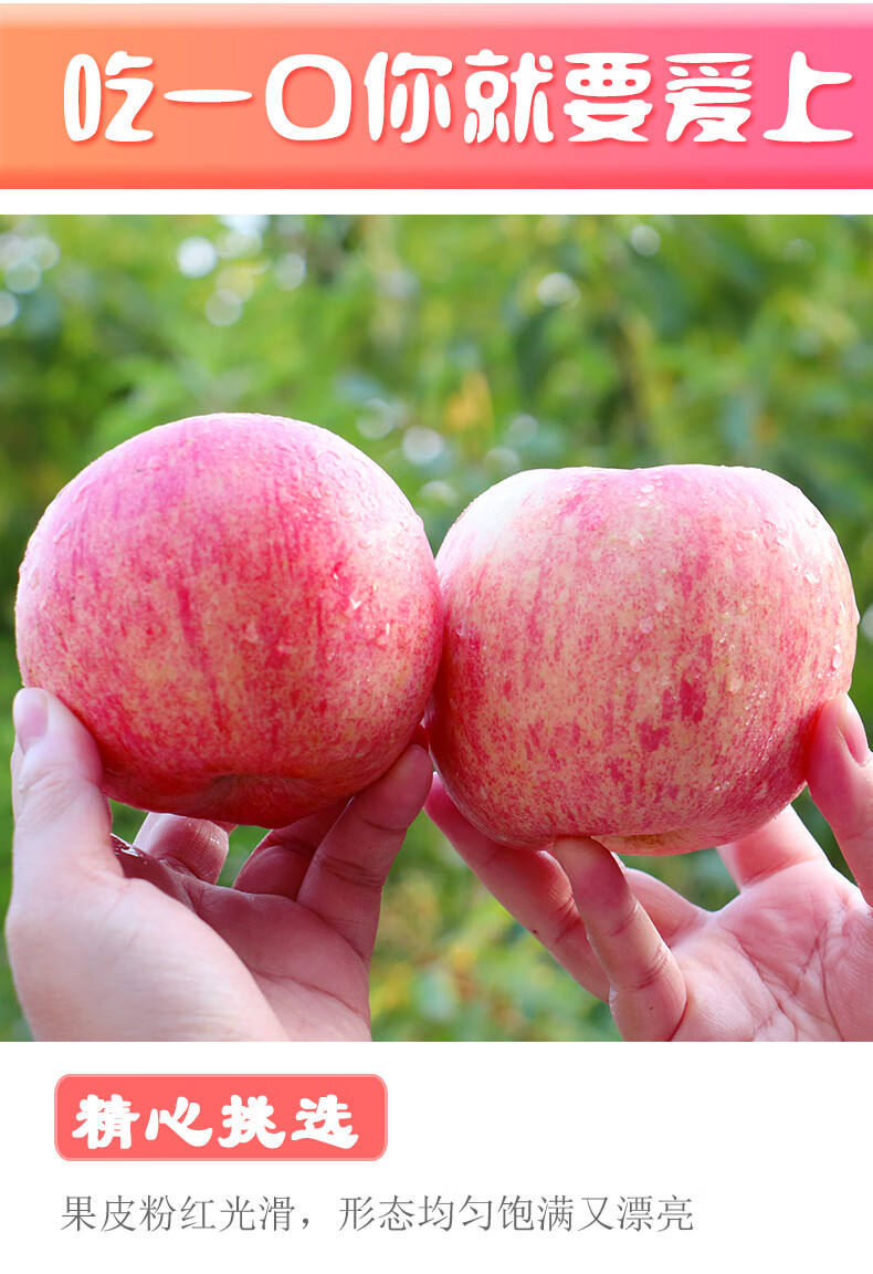 拉丝红富士苹果年货水果礼盒装脆甜正宗山东烟台栖霞新鲜当季年货礼盒