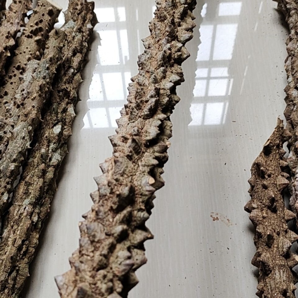 野生花椒木拐杖 野生花椒木手棍天然花椒棒中年老人按摩敲背大山实木