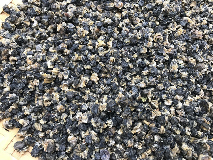 螺蛳肉干 干螺蛳肉螺蛳粉专用田螺肉农家自晒螺丝肉 250g小号干螺丝肉