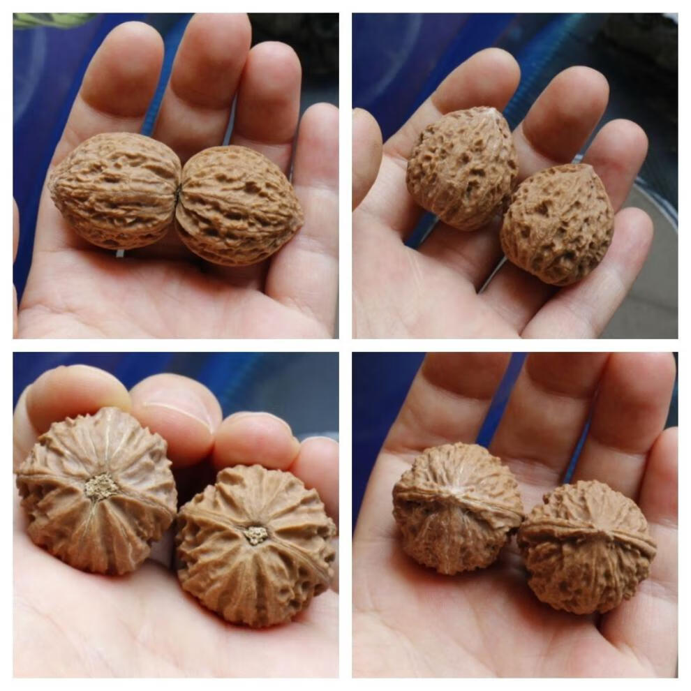 艾墨菲成对把玩文玩核桃秋子野生山核桃一对手捻手玩太行山脉核桃一号