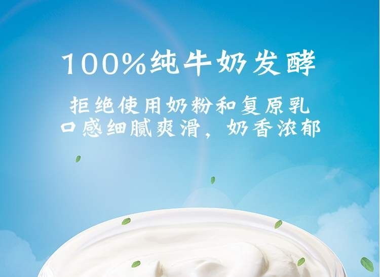 华明牧场酸奶180g10瓶原味酸奶传统工艺老北京风味凝固型酸奶原味酸奶