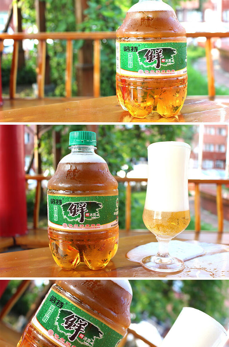 哈特鲜啤酒桶装 生啤扎啤精酿黄啤哈尔滨啤酒整箱一桶3斤 1450ml*2桶